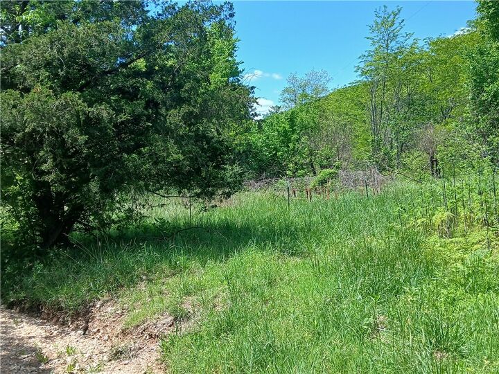 Property Photo: 642 County Road 605 AR 72638