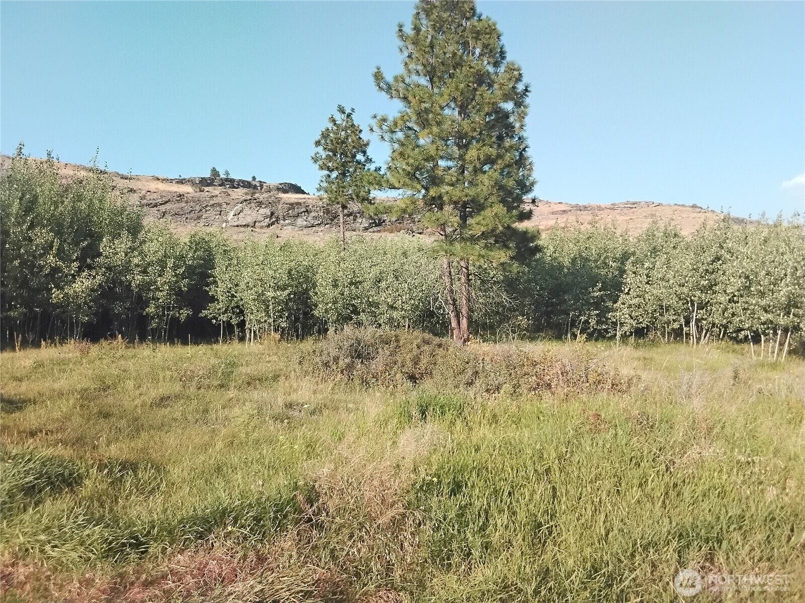 Property Photo:  4  Painted Rock Road  WA 98855 