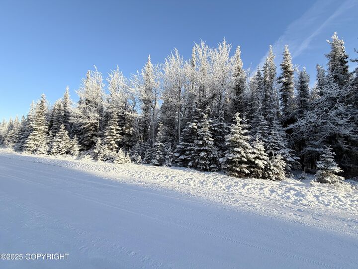 Property Photo: 2745 Seine Street AK 99611