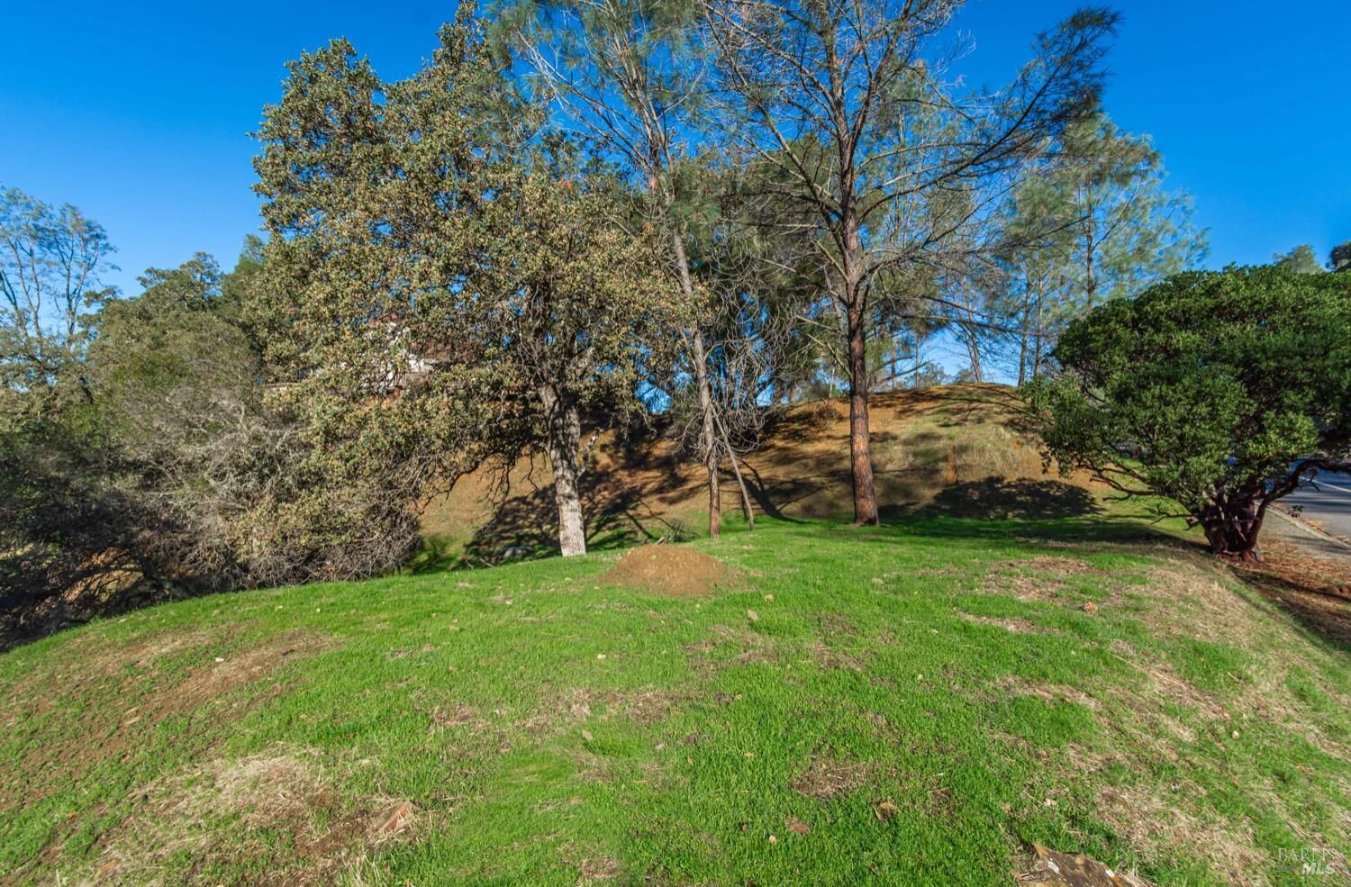 Property Photo: 1155 Steele Canyon Road CA 94558