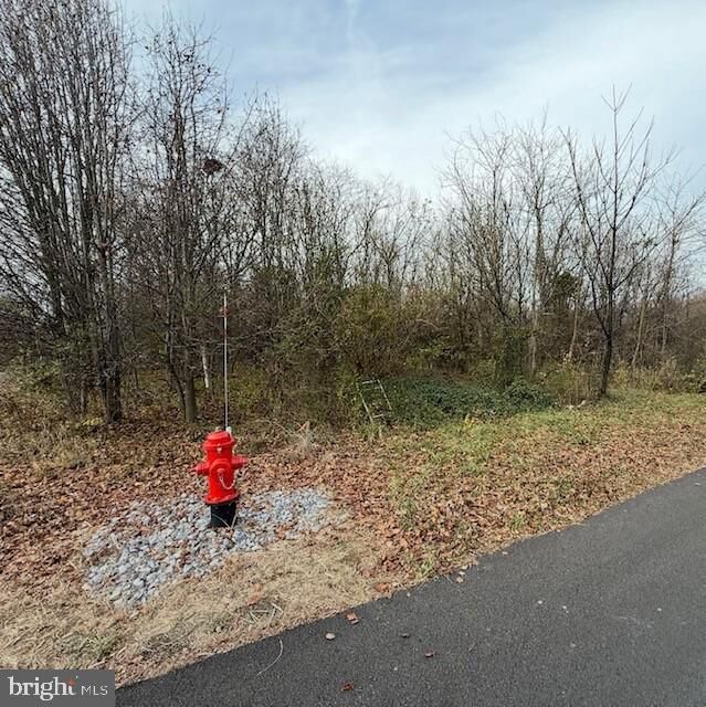 Property Photo:  Lot C3-2 Cedarbrook Drive  PA 17225 