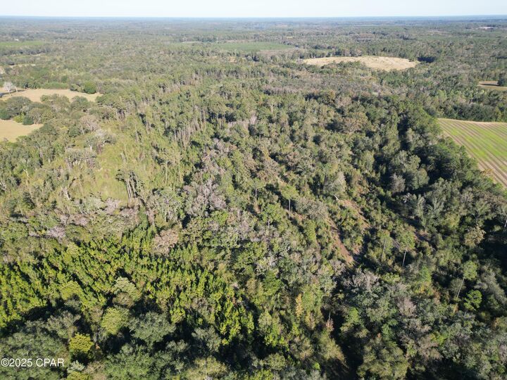 Property Photo: 0000 Arrant Road FL 32464
