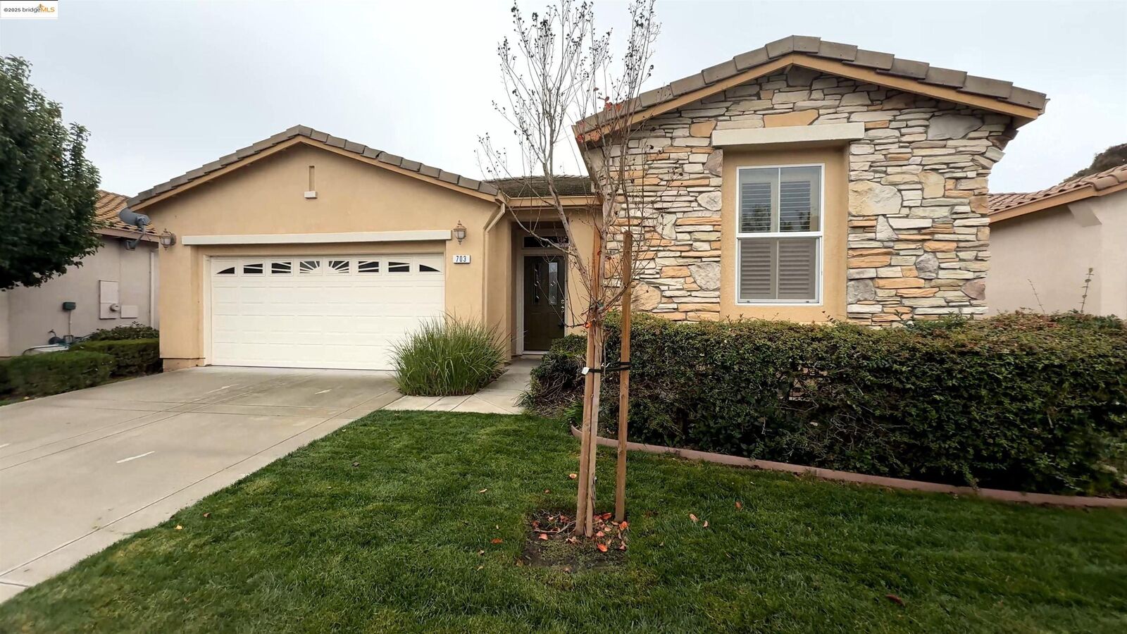 Property Photo:  703 Livingston Pl  CA 94571 