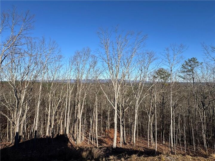 Property Photo: 171 Hawthorne Hill Road GA 30143