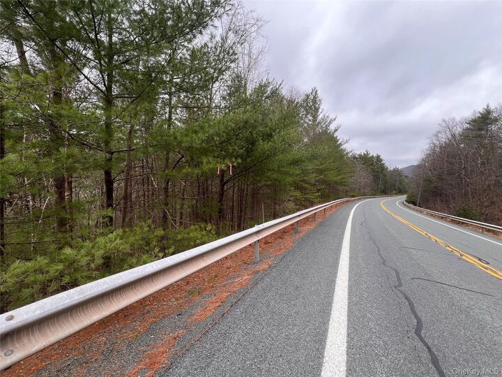 Property Photo:  Hankins Rd  NY 12764 