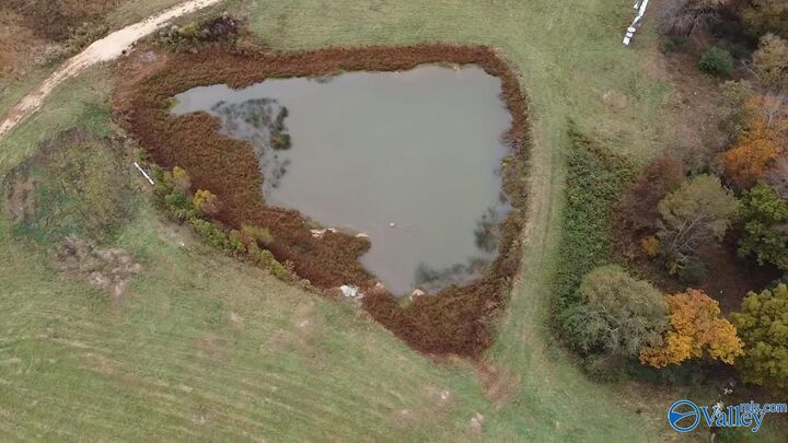 Property Photo:  13.9 Acres County Road 429  AL 35971 