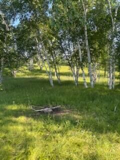 Property Photo: 15370 Mallard MN 55007