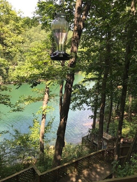 Property Photo:  3109 County Road 148  AR 72632 