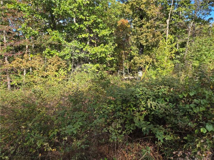 Property Photo:  Lot 40 Glyndebourne Drive  AR 72714 