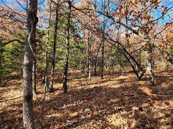 Property Photo:  Cr 18  AR 72624 