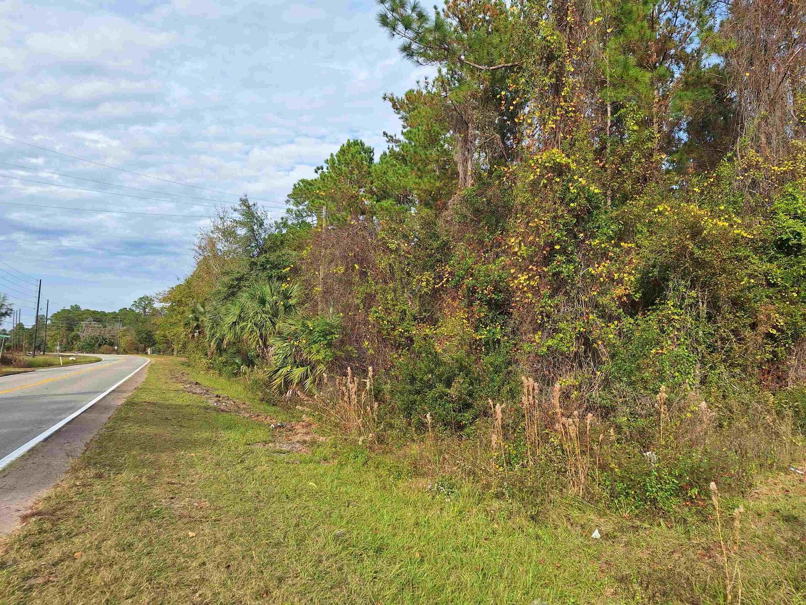 Property Photo: 1120 County Rd 309 FL 32112