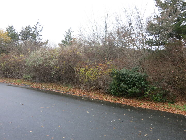 Property Photo:  20 Turnberry Road  CT 06492 