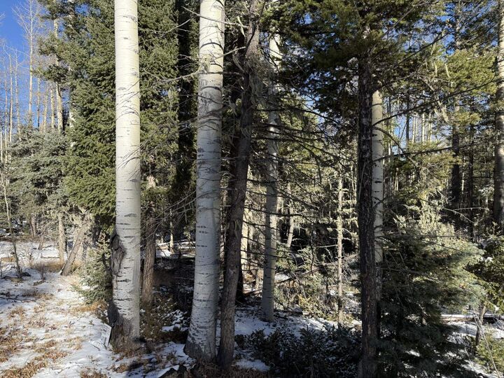 Property Photo: Lot 99 Zia NM 87710