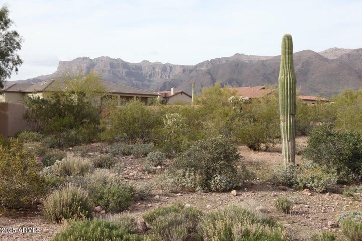 Property Photo:  10584 E Walking Stick Way 4  AZ 85118 