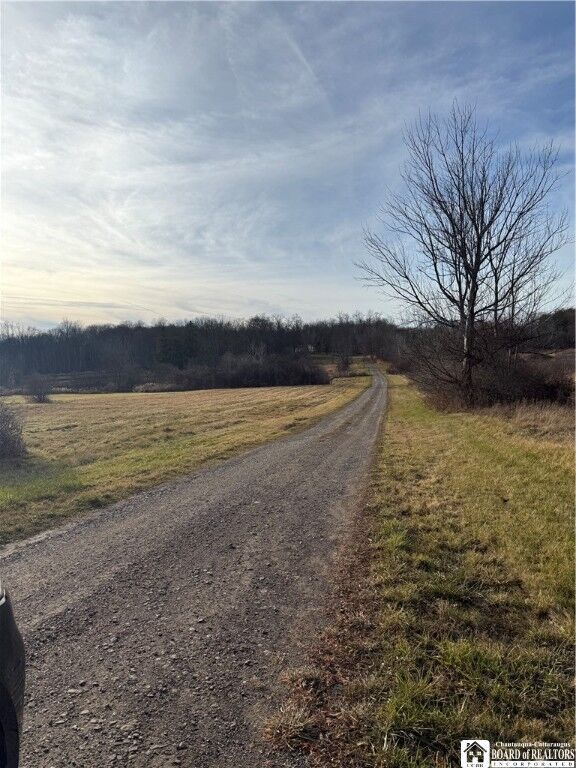 Property Photo:  6982 Curriers Road  NY 14009 