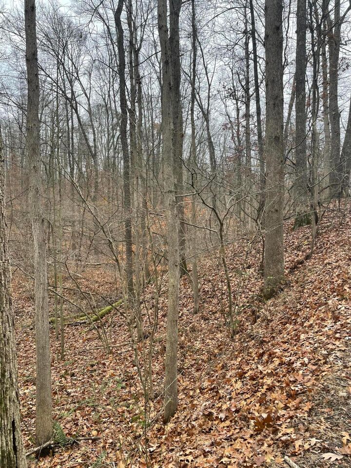 Property Photo: 0 McKee Hill Road OH 43822