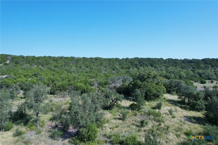 Property Photo: Tbd County Road 3900 TX 76550
