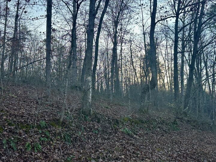 Property Photo:  Lot 15 Hensley Road  KY 40729 