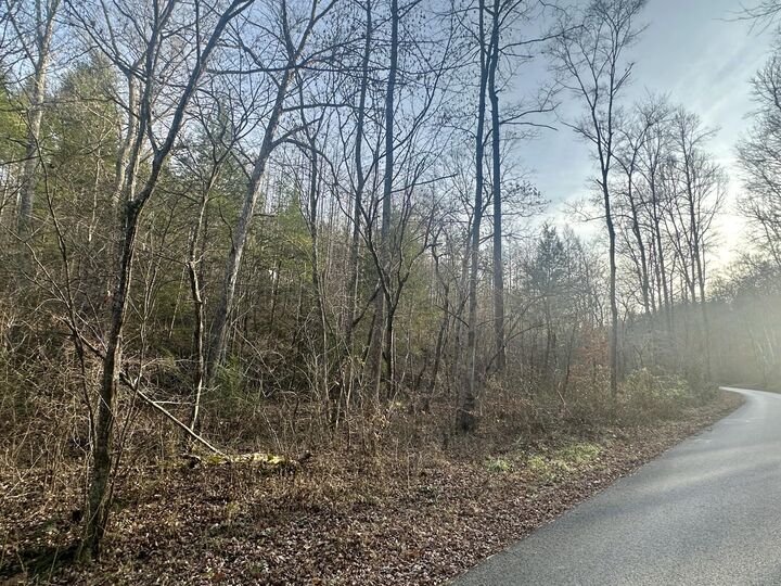 Property Photo:  Lot 1 Radford Road  KY 40729 