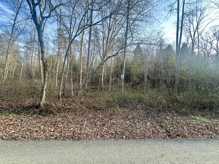 Property Photo:  Lot 3 Radford Road  KY 40729 