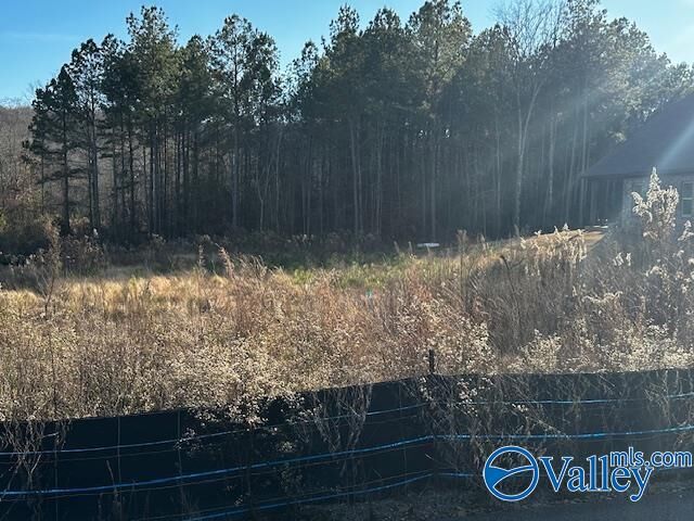 Property Photo:  Lot 118 Cherokee Ridge Drive  AL 35175 