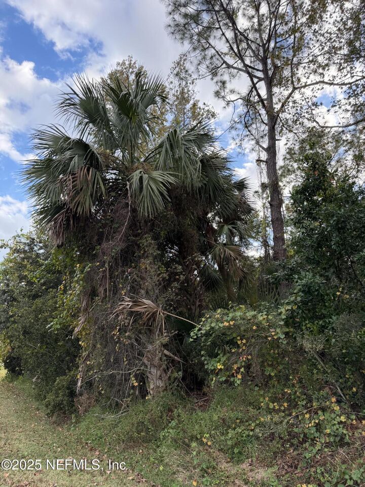 Property Photo:  22 Westglen Lane  FL 32164 