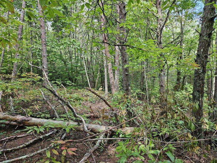 Property Photo:  Lt 32 Belaire Drive  TN 37317 