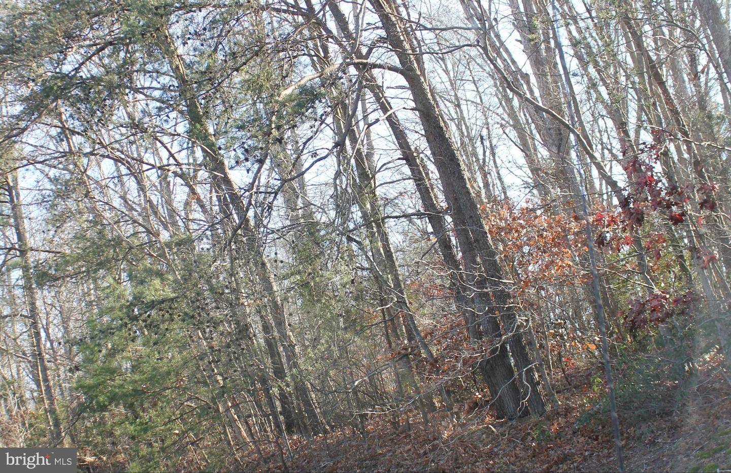 Property Photo:  3 Notch  MD 20659 