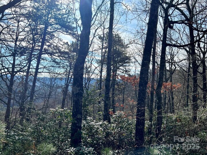 Property Photo: 880 Ivy Lane NC 28768