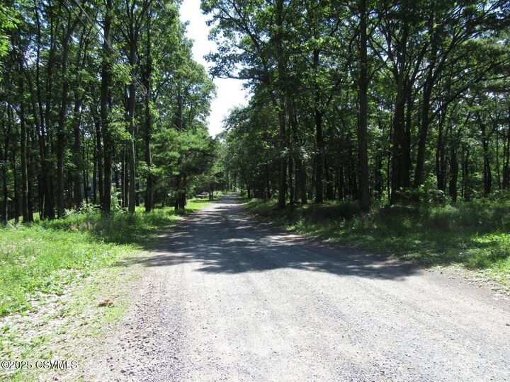 Property Photo: 171 Evergreen Lane PA 17820