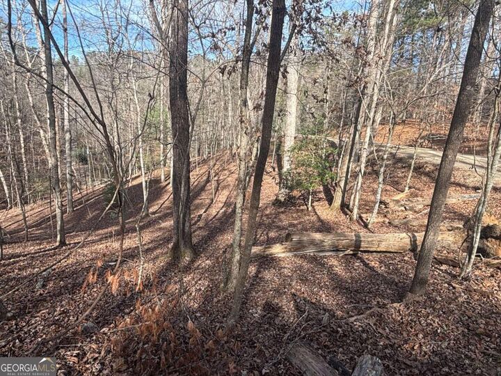 Property Photo:  Lt 727 Armor Court  GA 30540 