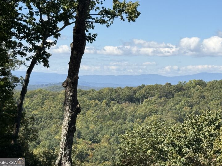 Property Photo:  97 Deer Ridge  GA 30560 