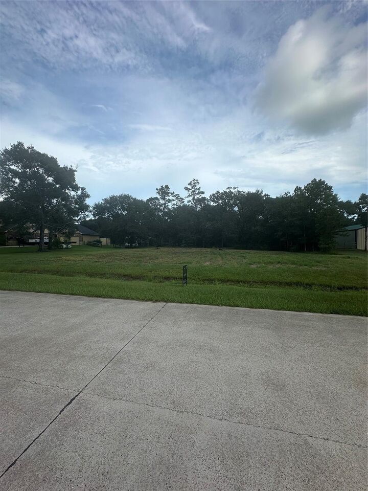 Property Photo:  7311 Bayou Timbers Drive  TX 77511 