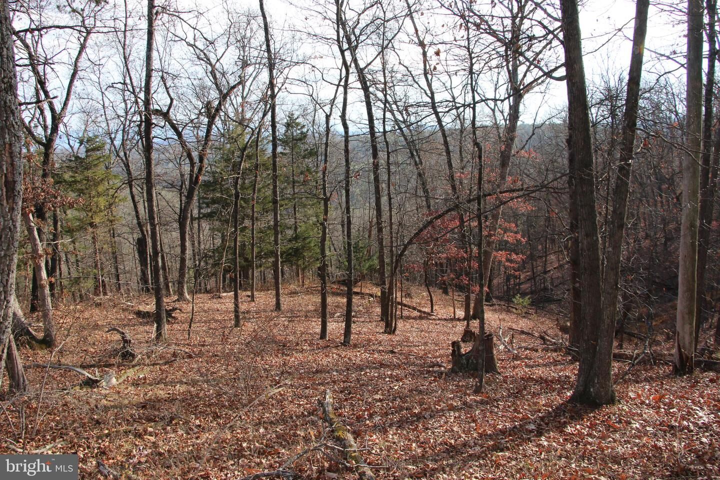Property Photo: 0 Supinlick Ridge Road VA 22842