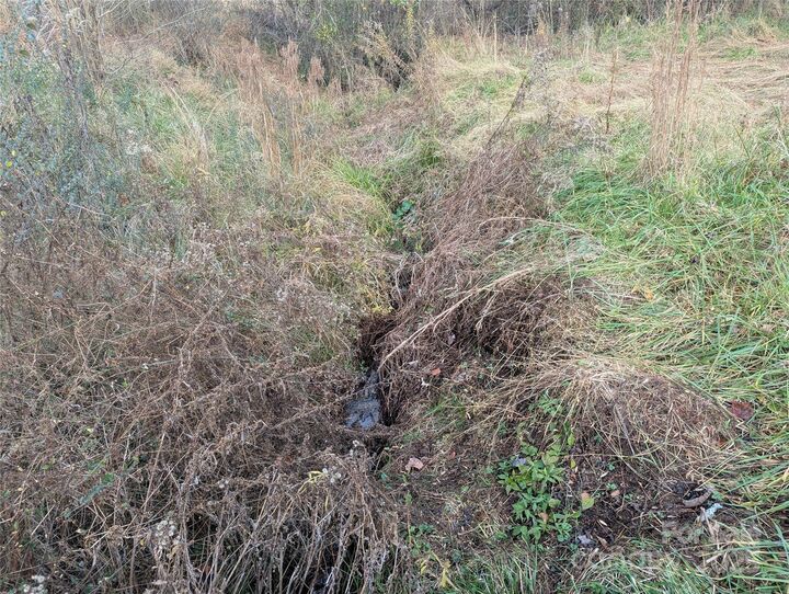 Property Photo:  36 Country Cove Court 6  NC 28748 