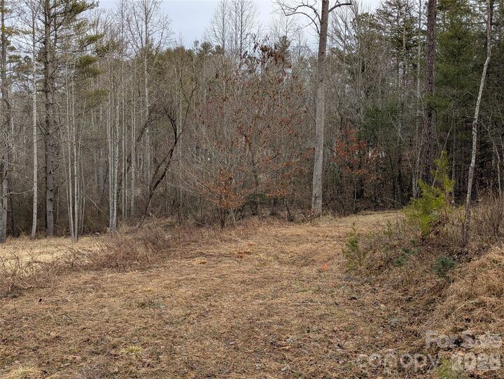 Property Photo: 36 Country Cove Court 6 NC 28748