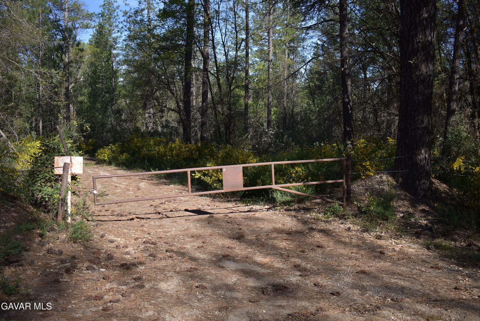 Property Photo:  14550 Grizzly Hill Road  CA 95959 