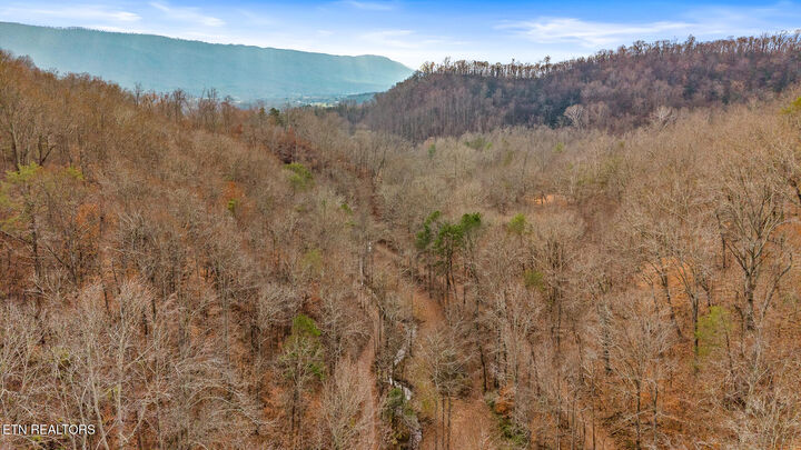 Property Photo:  158 County Road 484  TN 37329 