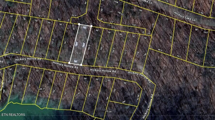 Property Photo:  0.19 Ac Hickory Hollow Rd  TN 38572 