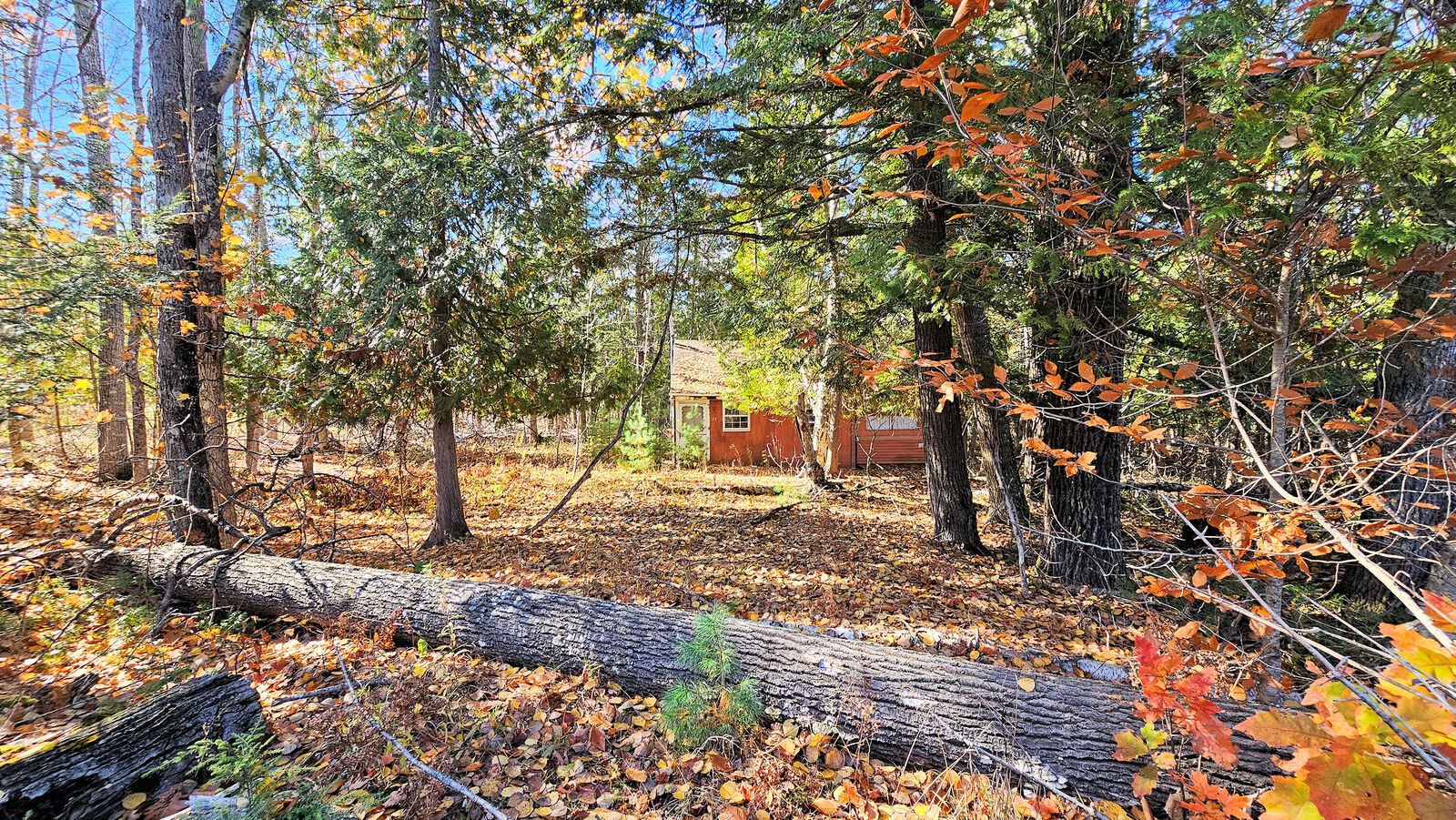 Property Photo: 25 Thomas Hill Road ME 04455