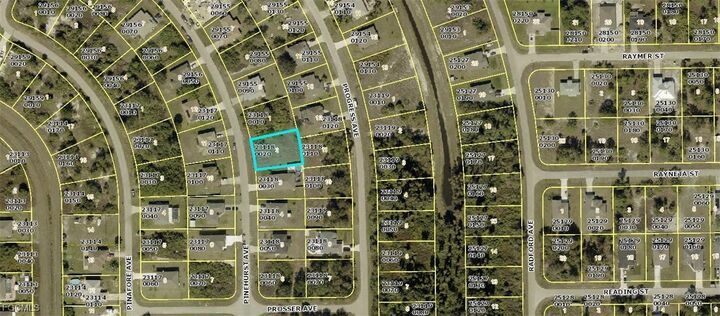 Property Photo: 343 Pinehurst Avenue FL 33974