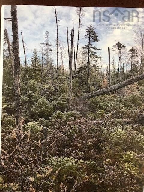 Property Photo: 3 Cloverdale Road NS B0N 2J0