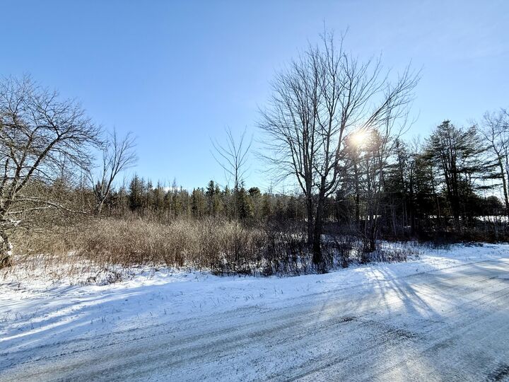 Property Photo:  0 Hank Wilson Road  NY 12918 