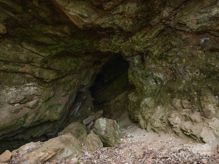 Property Photo: 0 Shoal Ridge 1 NC 28167