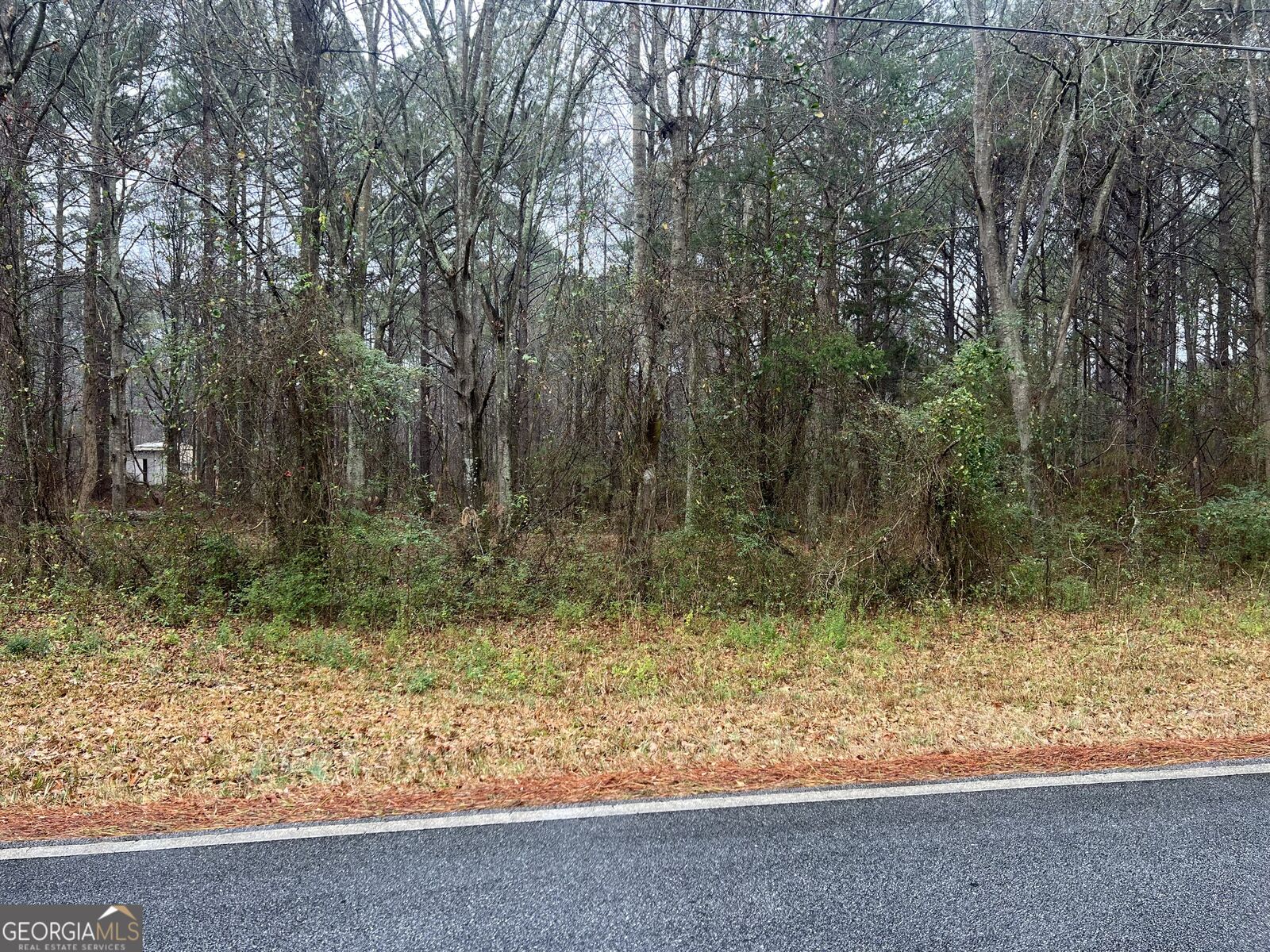 Property Photo:  3705 Stone Lea Drive  GA 30054 