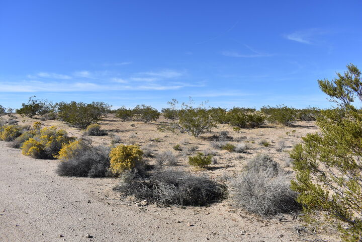 Property Photo:  Hansen St &Amp Munivez St  CA 93505 