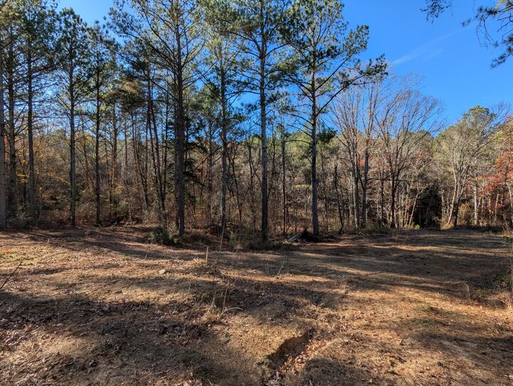 Property Photo: 169 Volunteer Lane TN 37362