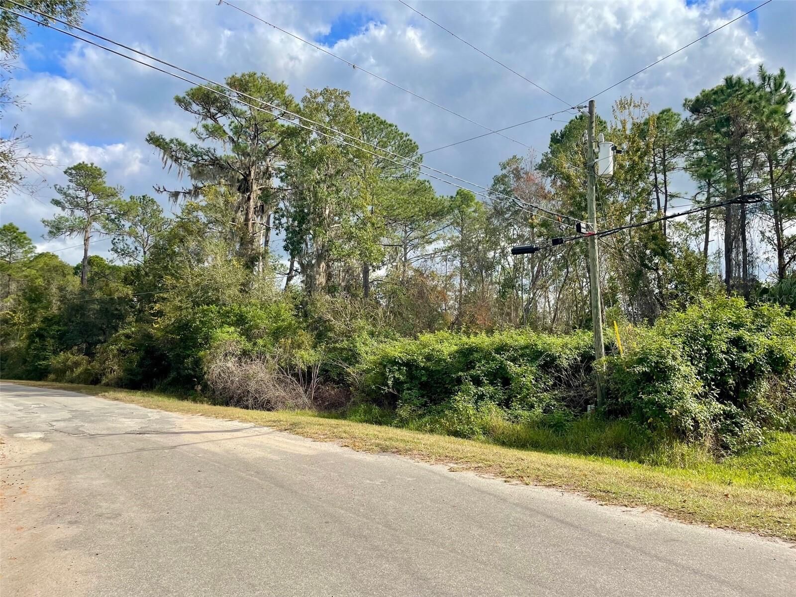 Property Photo: 000 Fisher Run FL 32179