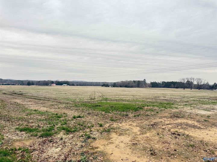 Property Photo: 32 Acres Hogan Road AL 35622