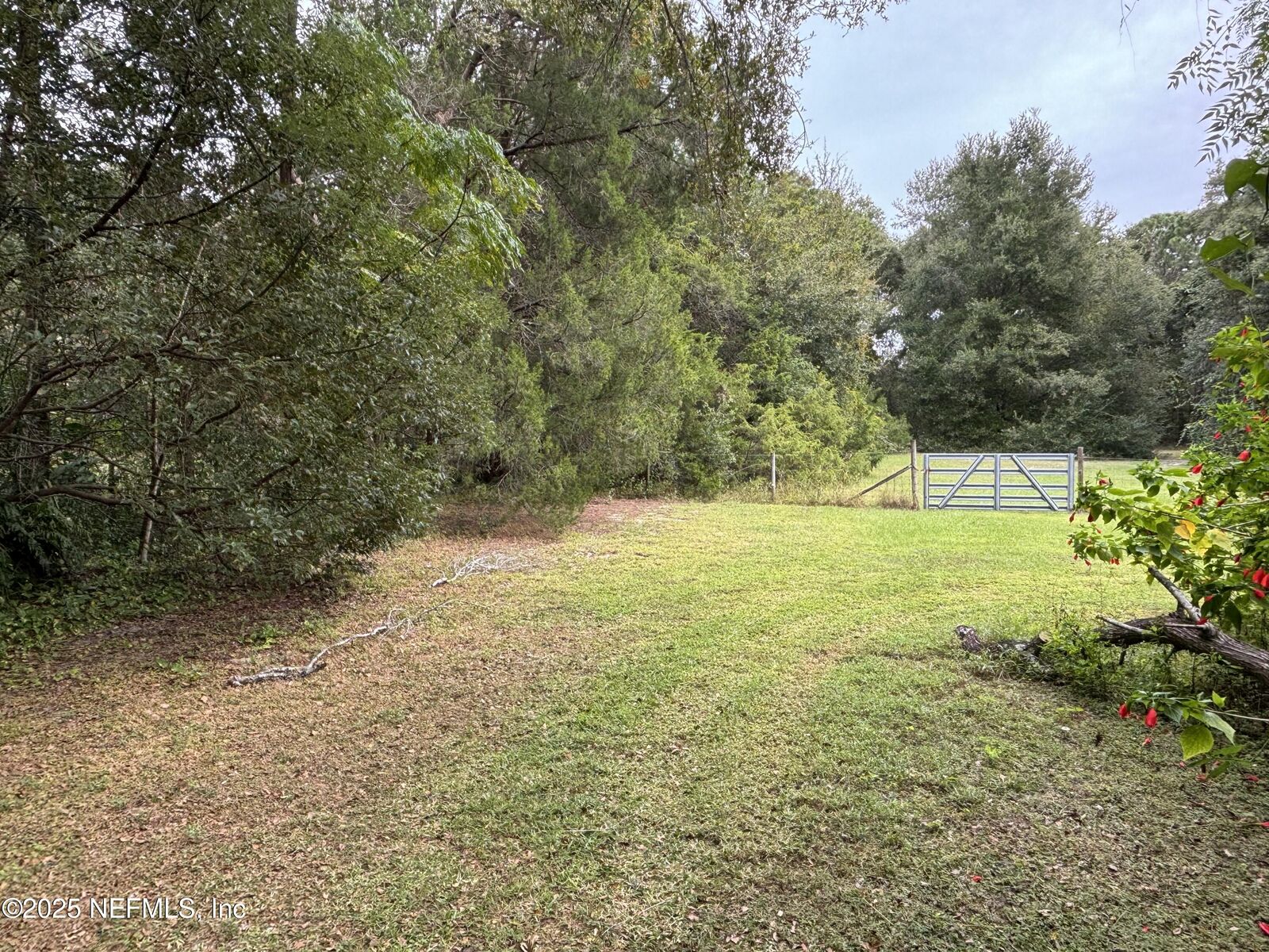 Property Photo: 3325 Golden Gem Road FL 32712